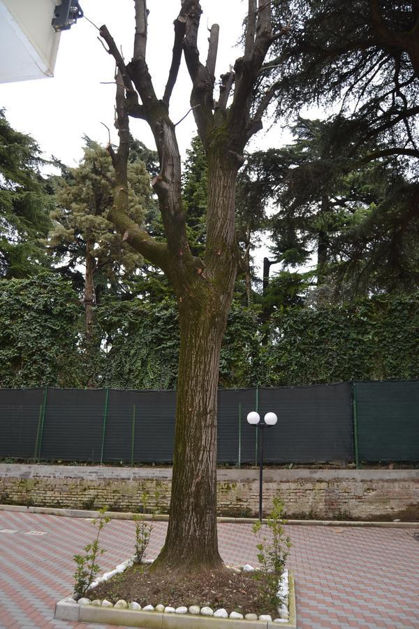Porte Di Bolonya Dış mekan fotoğraf